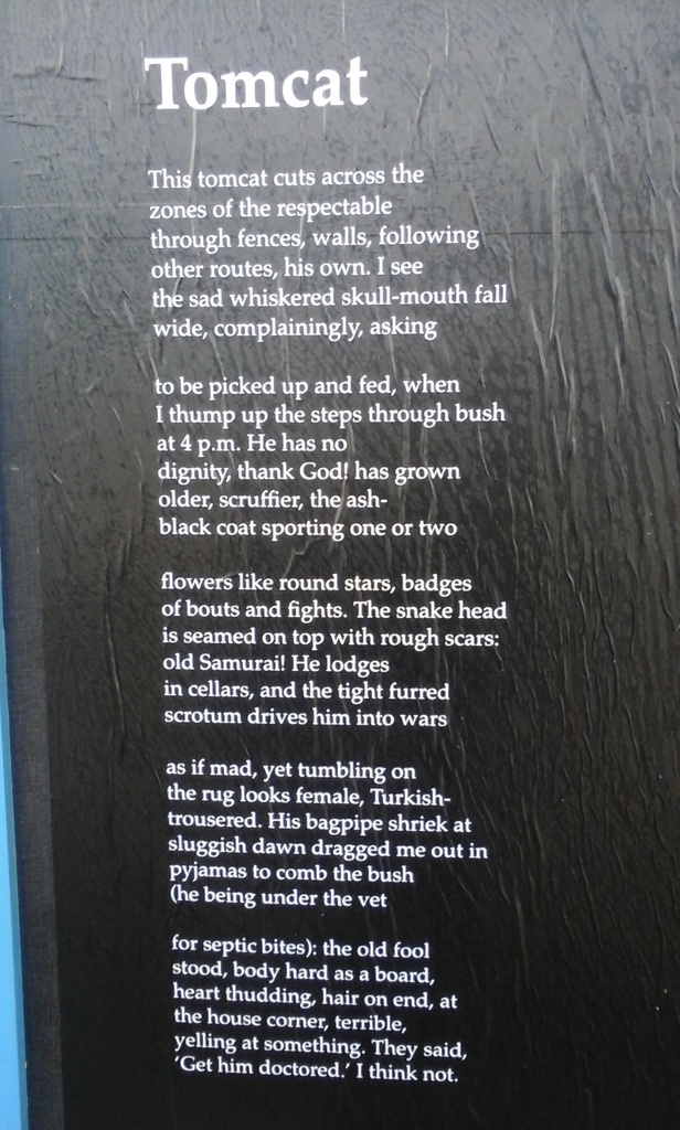 Poster with the poem in Palmerston North